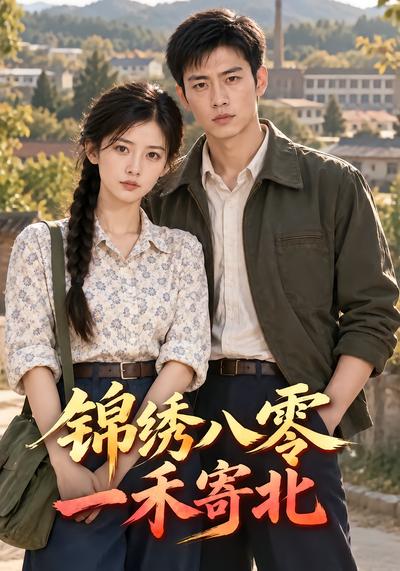 锦绣八零,一禾寄北封面