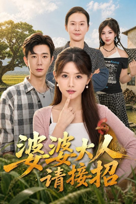 婆婆大人请接招封面