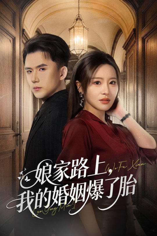 娘家路上,我的婚姻爆了胎封面