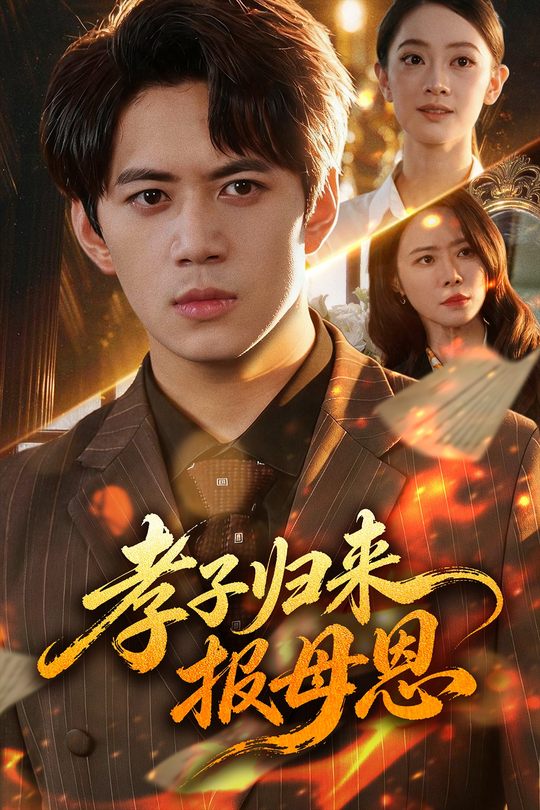 孝子归来报母恩封面