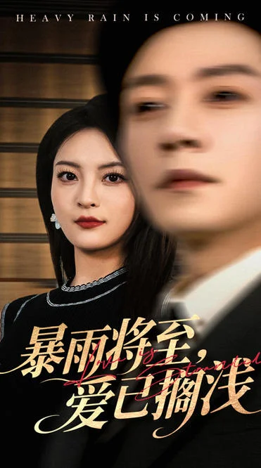 暴雨将至,爱已搁浅封面