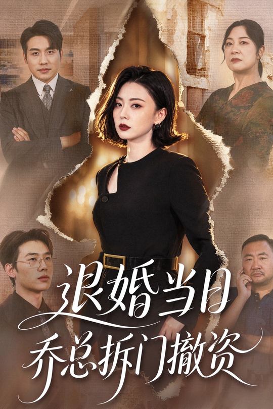 退婚当日乔总拆门撤资封面