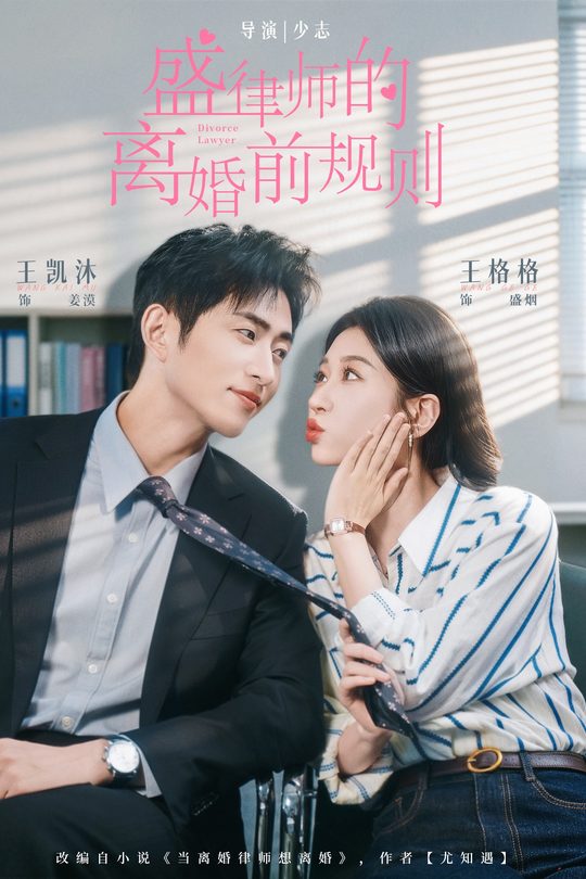 盛律师的离婚前规则封面