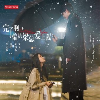完了啊，偏执梁总爱上我封面