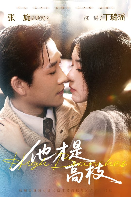 他才是高枝封面