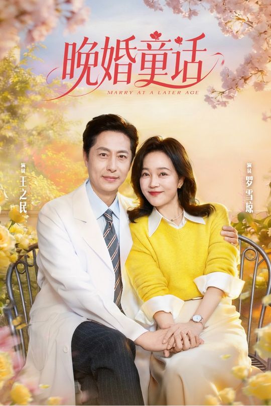 晚婚童话封面