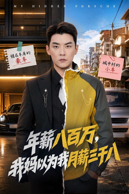 年薪八百万，我妈以为我月薪三千八封面