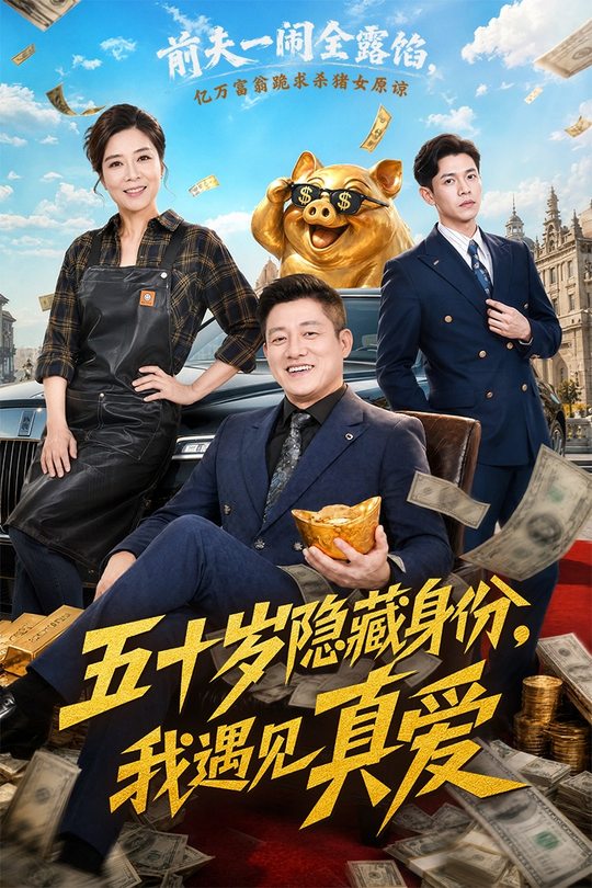 五十岁隐藏身份，我遇见真爱封面