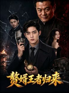 赘婿王者归来封面