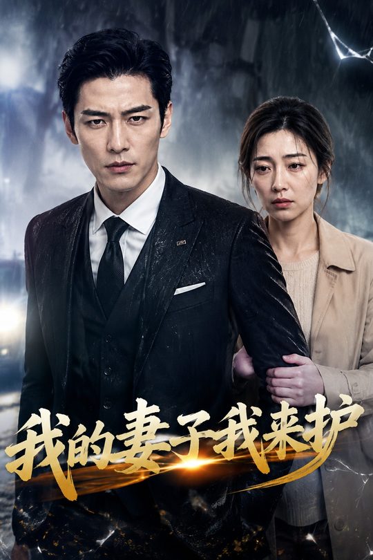 我的妻子我来护封面