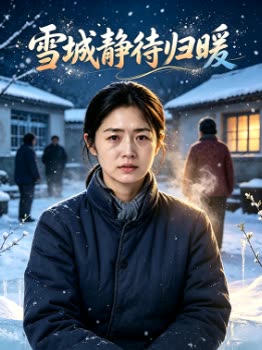 雪城静待归暖封面