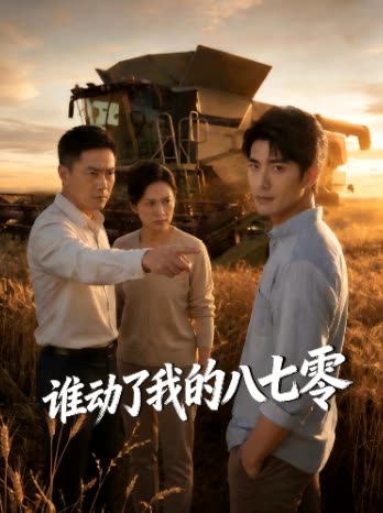 谁动了我的八七零封面