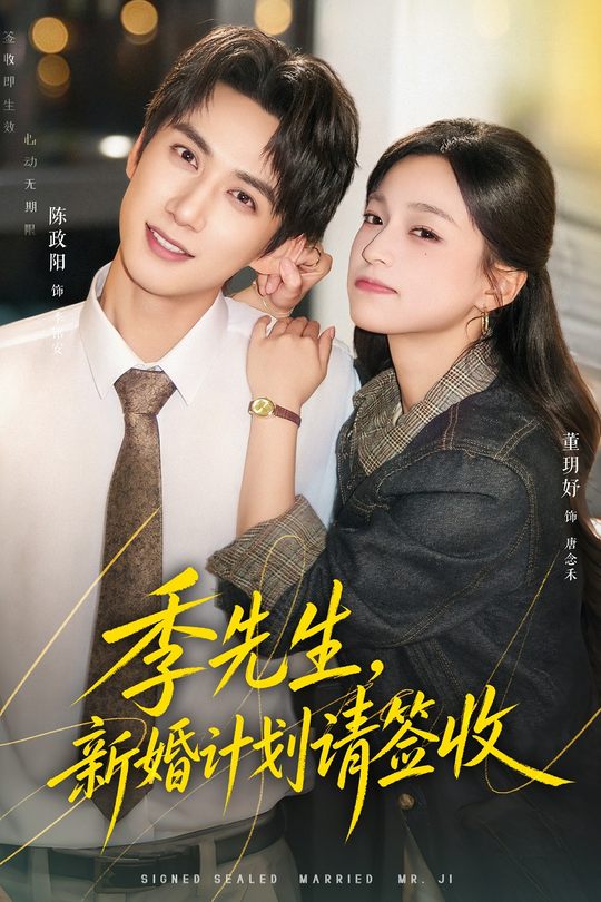 季先生,新婚计划请签收封面