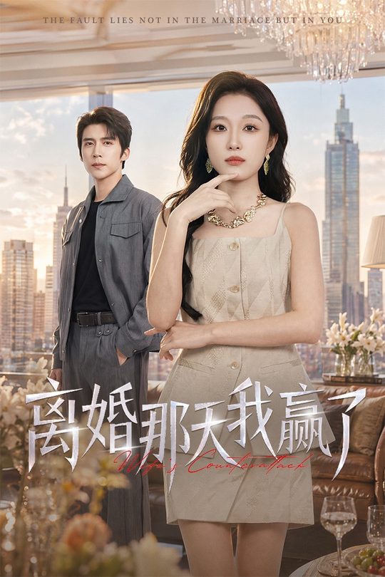 离婚那天我赢了封面