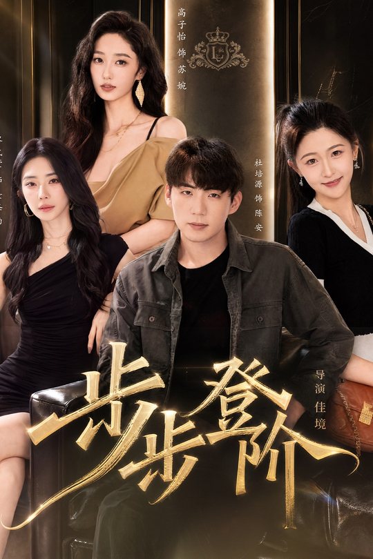 步步登阶封面