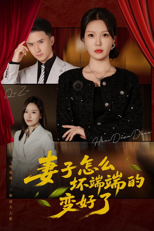 妻子怎么坏端端的变好了封面