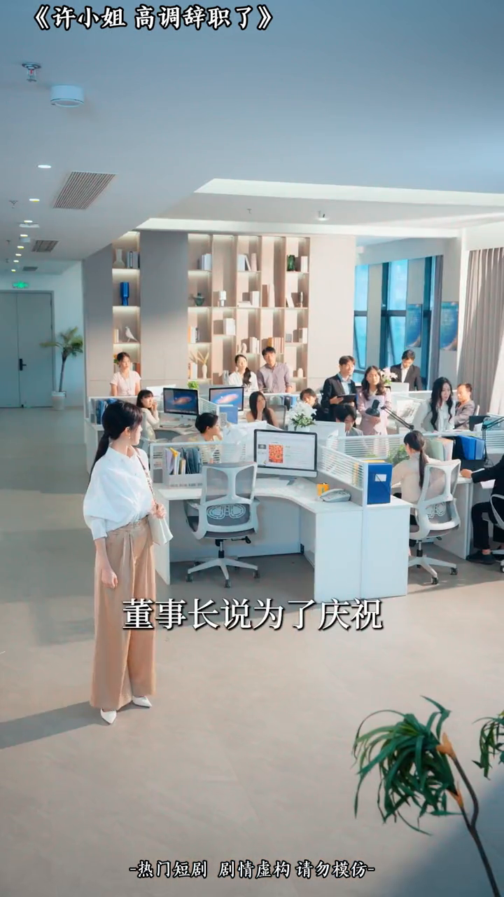 许小姐高调辞职了封面