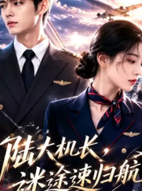 陆机长，迷途速归航封面