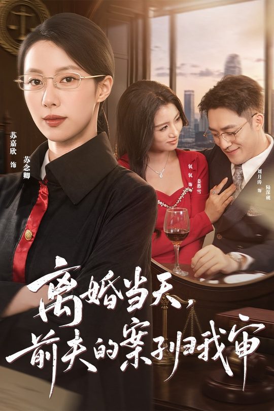 离婚当天,前夫的案子归我审封面
