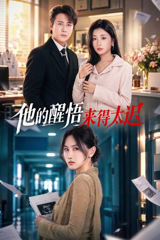 他的醒悟来得太迟封面