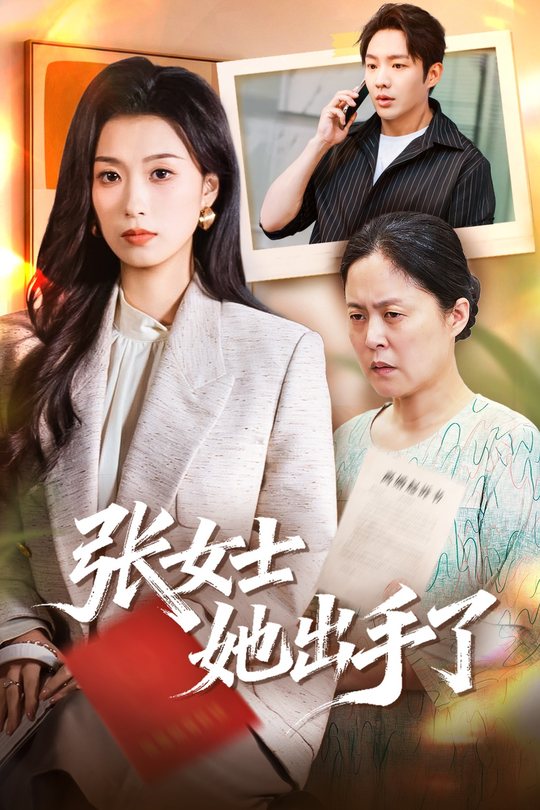 张女士她出手了封面