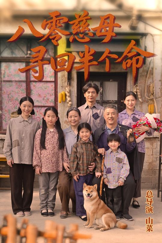 八零慈母寻回半个命封面