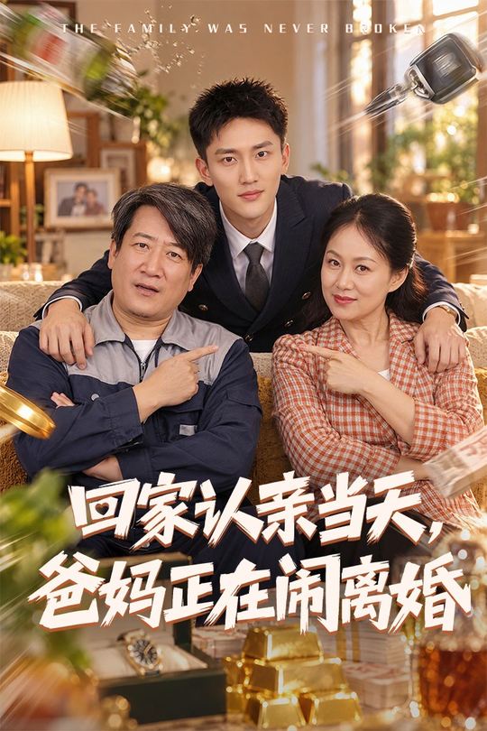 回家认亲当天，爸妈正在闹离婚封面