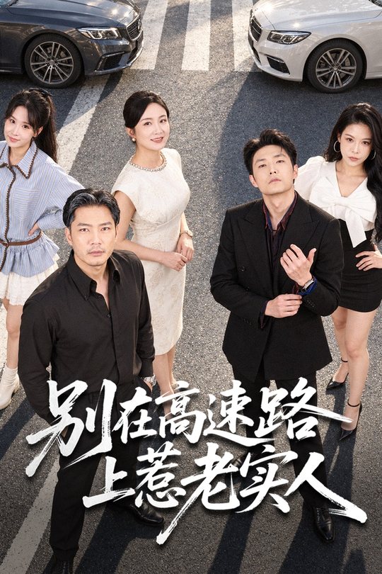 别在高速路上惹老实人封面