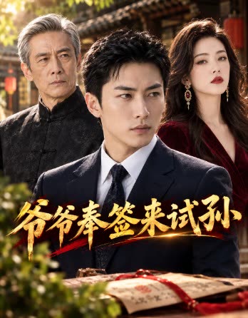 爷爷奉签来试孙封面