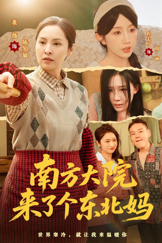 南方大院来了个东北妈封面