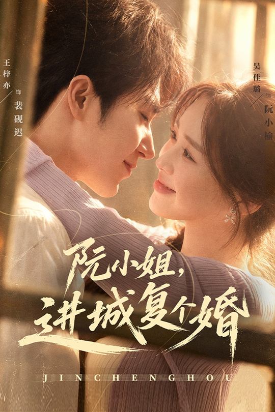 阮小姐,进城复个婚封面