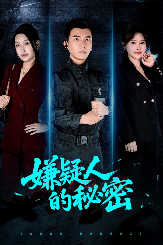 嫌疑人的秘密封面
